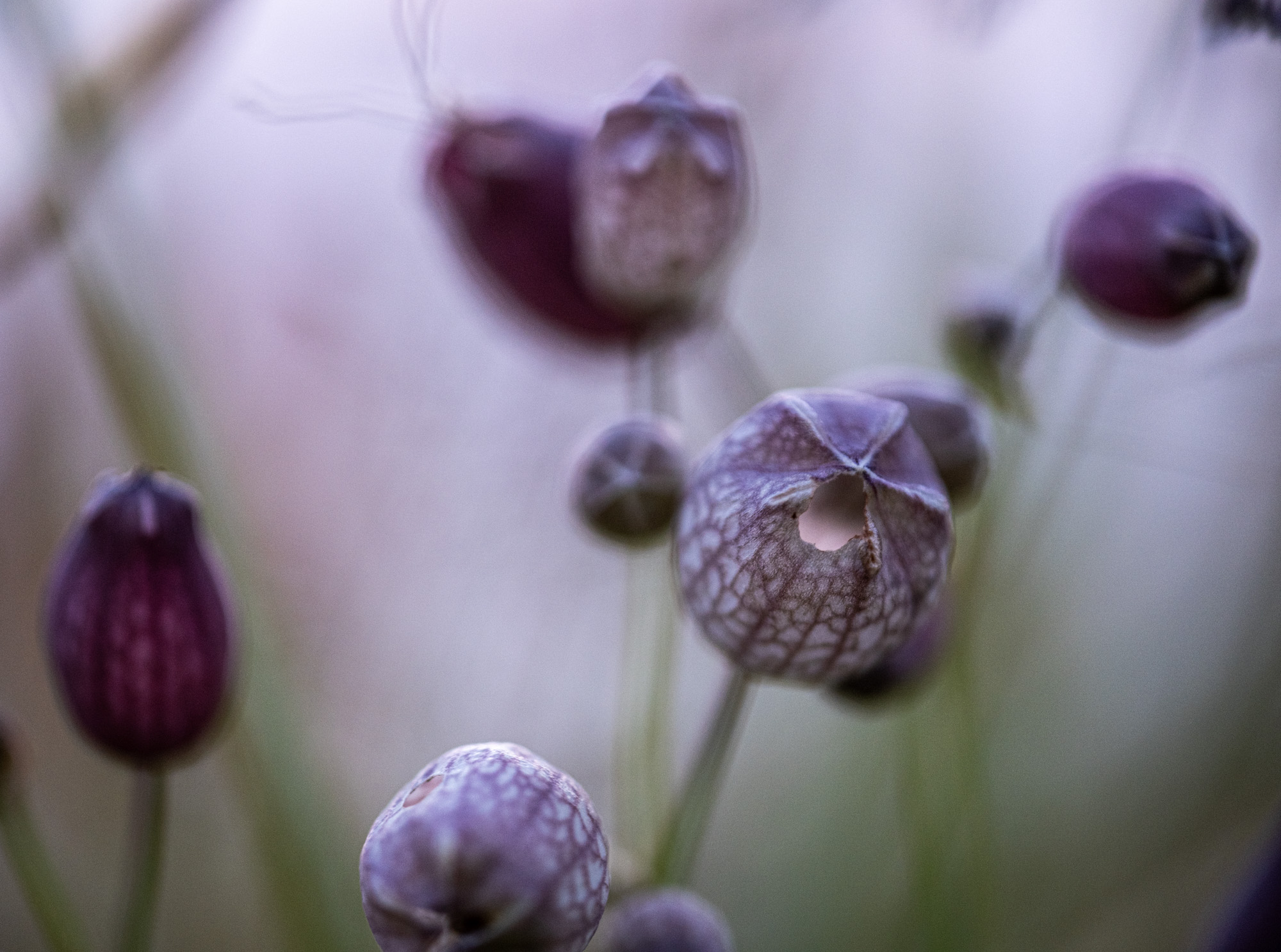 2024 06 07  xt 5   2548